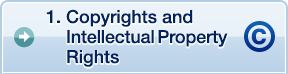 1. Copyrights and Intellectual Property Rights